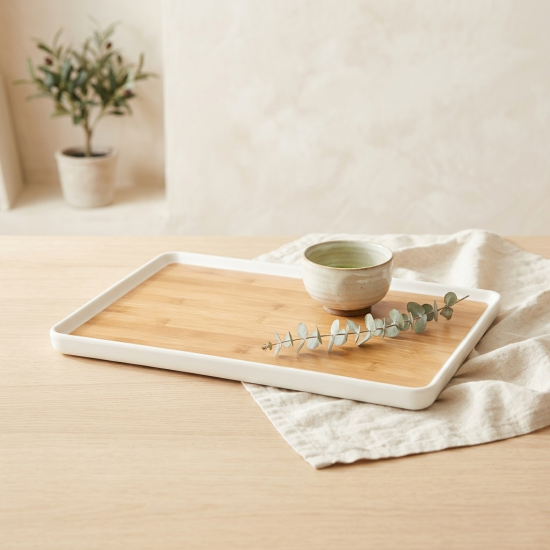Plastic Tray
